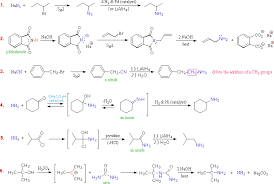 Amine Reactivity Organic Chemistry Organic Chemistry Study Organic Chem