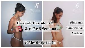 É claro, tudo é uma questão de escolha, você optar pelo o que é melhor sempre! Diario De Gravidez 2 O 2Âº Mes 5 A 8 Semanas Youtube