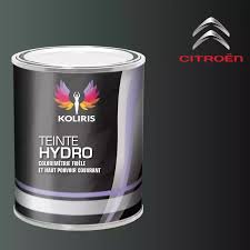 Image result for Gris Manitoba 2011 Citroen