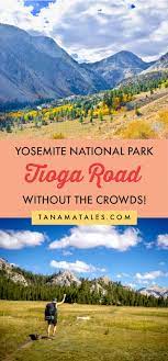 Pin On All About Travel Destinations Travel Tips And Travel Experience