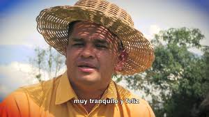 En Costa Rica 🇨🇷 existen ocho grupos socioculturales indígenas distintos:  Cabécares, Bribris, Ngäbe, Térrabas, Borucas, Huetares, Malekus y  Chorotegas, habitan en 24 territorios y hablan en 6 idiomas ...