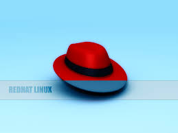 It was originally for ladies 50 and over (any age now!) just a social club to gather and wear cute/fancy red hats while dressed in purple. 73 Red Hat Wallpaper On Wallpapersafari