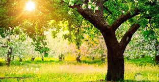 Check spelling or type a new query. Ø¥Ø±Ø¬Ø§Ø¹ Ø±Ø¬Ù„ Ø§Ø¹Ù…Ø§Ù„ Ø§Ù„Ø´Ø°ÙˆØ° Ø®Ù„ÙÙŠØ§Øª Ø­Ù„ÙˆÙ‡ Ø£Ø´Ø¬Ø§Ø± Uccrandolph Org
