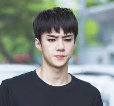 Korean hairstyles for men are unique because asian men have different hair textures than others. Bowl Haircut Korean Bpatello