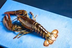 Con l'aiuto di un trinciapollo, aprite l'addome dell'astice su tutta la lunghezza ed estraete la polpa. Tempo Di Cottura Astice Tutto Quello Che C E Da Sapere Ted Burger Lobster