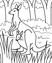 Download & print ➤kangaroo coloring sheets for your child to nurture his/her coloring creative skills. Printable Kangaroo Coloring Pages For Kids