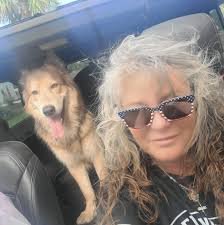 I'm off to the film the real genuine BlueBay Shepherds owned by Vicky  Spencer. Excited?! I am! 🥳🐺 American Blue Bay Shepherds #bluebayshepherd