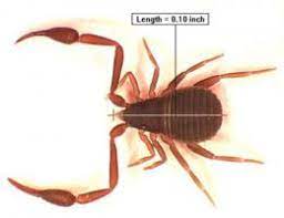 Check spelling or type a new query. Bugs In The Bathroom News