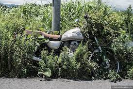 Never Before Seen Images Reveal How The Fukushima Exclusion Zone Was Swallowed By Nature Fukushima Nuclear Disasters Abandoned