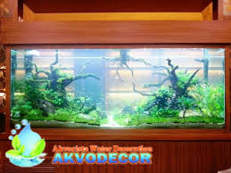 Toko jual perlengkapan aquarium air tawar kini sudah hadir di berbagai daerah besar seperti jakarta bekasi dan bandung dengan menjual berbagai macam fariasi aquarium mulai dari. Princess ãƒ—ãƒªãƒ³ã‚»ã‚¹ åŸ¼çŽ‰æ‰€æ²¢å¸‚æ‰€æ²¢é§…è¥¿å£å¾'æ­©1åˆ† Tel 080 9194 5151