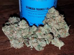 Fresh New 8th Of Bermuda Triangle Og I Couldn T Resist Steemit