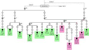 Pedigree Chart Showing Line Of Descent Of Dogs Transmitting