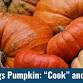 All Things Pumpkin: “Cook” and Sample event image
