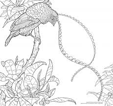 Free coloring pages make it easy and fun to learn about state symbols and the united states. Coloring Pages For Birding Enthusiasts Princeton University Press