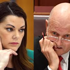 Sarah Hanson-Young defamation case: David Leyonhjelm says it is hard to get  affidavits