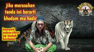 Menurut psikolog, harimau adalah binatang yang menakutkan. Arti Mimpi Diikuti Harimau Gomimpi