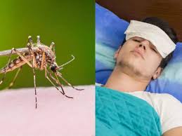 Jun 03, 2021 · world zika virus market pipeline spotlight report 2021: Zika Virus Can Zika Virus Become The Next Pandemic After Kovid In The Country Know How Serious Its Symptoms Are Presswire18