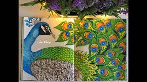 Apart from providing a platform to paint, these sheets make the kids familiar with the bird too, thus helping them in their preschool activities. Dagdrommar Coloring Book The Peacock Coloring With Colored Pencils Youtube