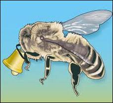 Het dagblad van het noorden heeft een fout gemaakt door vandaag op de voorpagina te adverteren voor de verkiezingen met de tekst 'ik stem morgen voor onze provincie.' op de dag van de verkiezingen maakte de krant dus een klassieke fout, zo moet een woordvoerder van het groningse blad toegeven. Een Van De Weinige Zekerheden In Het Leven Dr Denkers Kerstpuzzel Darch Media