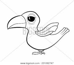 Check spelling or type a new query. Cartoon Bird Toucan Vector Photo Free Trial Bigstock