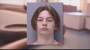 Berichten zufolge wurde tristyn zuletzt sonntagnacht lebendig gesehen. Report Bloody Clothes Found In 14 Year Old Aiden Fucci S Bedroom Firstcoastnews Com