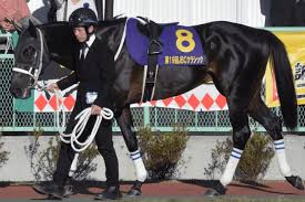 三溪記念館と旧矢箆原家住宅（合掌造り）再開のお知らせ notice on reopening of sankei memorial and former yanohara family residence. å·å´Žè¨˜å¿µ2020äºˆæƒ³ ãƒãƒ¥ã‚¦ãƒ¯ã‚¦ã‚£ã‚¶ãƒ¼ãƒ‰ ä¿¡é ¼åº¦ã¯é¨Žæ‰‹æ¬¡ç¬¬ ç«¶é¦¬ãƒ˜ãƒƒãƒ‰ãƒ©ã‚¤ãƒ³