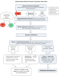 Rec Flow Chart Fixed 061014 Maine Biotechnology