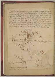 kitab ṣuwar al kawakib al thabitah كتاب صور الكواكب الثابتة ṣufi ʻabd al raḥman ibn ʻumar صوفى عبد الرحمن ابن عم constellations persian paintings islamic art