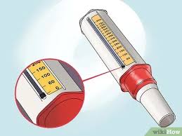 Looking for a flow meter, but confused by the huge range of options? How To Use A Peak Flow Meter 13 Steps With Pictures Wikihow