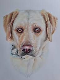 Abby actually thought it was a REAL dog! So cute and I love how cautious  she is❤️❤️❤️