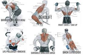 If you had to choose one thing you could do to enhance your work, relationships, attitude, confidence, and health, it would be exercise. Exercise To Build Big Back Muscles Dumbbell Back Workout Back Muscles Back Muscle Exercises