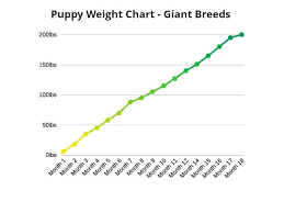 Month Weight Height Online Charts Collection