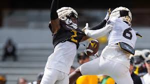 Southern Miss football recruiting: WR Royale Shelvy commits for 2025