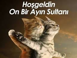 Kediler Neden Mart Ayinda Ciftlesir 1354108 Uludag Sozluk Galeri
