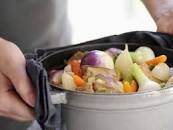 Image result for Lumpen und Flöhe