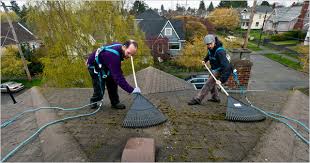 We did not find results for: Roof Cleaning Demossing Langley Abbotsford Surrey Langley Gutter Pros