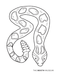 Today we will unveil the fascinating world of snakes through our snake coloring sheets. Rattlesnake Coloring Page Booth Western Art Museum