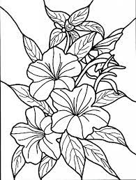 Flower coloring pages are perfect to download, print and color or paint all year long. Free Printable Hibiscus Coloring Pages For Kids Printable Flower Coloring Pages Flowers Coloring Pages Flower Coloring Pages
