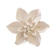 Large ceramic red poppy flower wall hanging. Alycaso Handmade Decorative Ceramic Flowers 3d Wall Decor Hanging Room Decoration Art Gardenia White Large 4 7in Buy Online In Bahamas At Bahamas Desertcart Com Productid 122066264