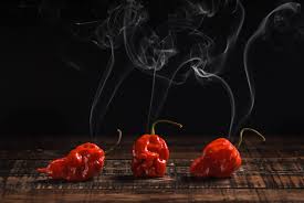 Check spelling or type a new query. Ghost Pepper Hot Sauce Aka Wtf Sauce Nomageddon