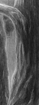 Und wozu willst du einen baum pflanzen? Laub Baum Zeichnen Lernen Zeichenkurs