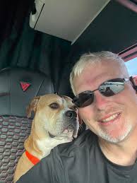 Everyday should be National Dog day because dogs deserve it 🐶