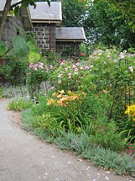 There are over three hundred species and tens of thousands of cultivars. Alister Clark Memorial Rose Garden Wikipedia