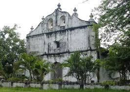 Image result for Nicolasia costata