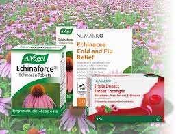 Buy Echinacea Herbal Remedy For Cold Flu Chemist 4 U