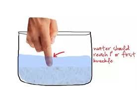 Measure the amount of rice you want to cook into a pot or rice cooker insert. How To Cook Rice With A Rice Cooker Quora