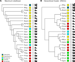 Frontiers Compositional Analysis Of Flatworm Genomes Shows