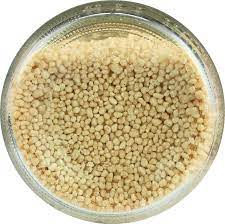 We did not find results for: Les Moulins Mahjoub M Hamsa Couscous Von Hand Gerollt 3 X 1 1 Lbs Amazon De Lebensmittel Getranke