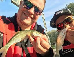 Een feitelijk overzicht van de...