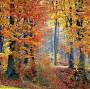Profile Picture of When is the First Day of Fall? Autumnal Equinox 2024on Google